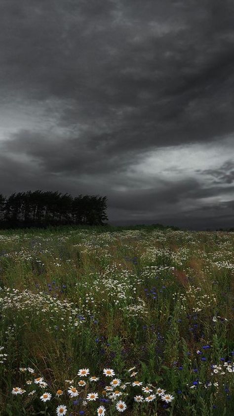 Instagram Log, Dark Cottage Core, Rain Nature, Kad Nama, Dark Naturalism, Story Insta, Dark Green Aesthetic, Summer Storm, Dark Cottagecore