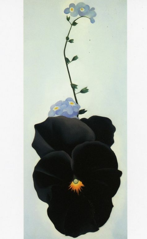 Black Pansy and Forget Me Nots-1926-Georgia OKeeffe Alfred Stieglitz, Georgia O'keefe Art, Georgia O Keeffe Paintings, O Keeffe Paintings, Georgia O'keeffe, Georgia Okeefe, Art Classique, O Keefe, Georgia O Keeffe