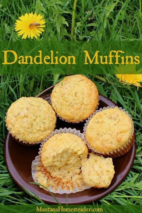 Dandelion Muffin Recipes, Dandelion Leaves Recipe, Dandelions Recipe, Dandelion Food, Dandelion Cupcakes, Cup4cup Recipes, Dandelion Muffins, Dandelion Bread Recipe, Litha Recipes