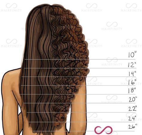 Growth chart Natural Hair Art, Bangs Chart, Types Of Bangs Chart, 3c Curls, Types Of Bangs, Official Hairstyle, Hair Goal, Lumpy Space, Hair Length Chart