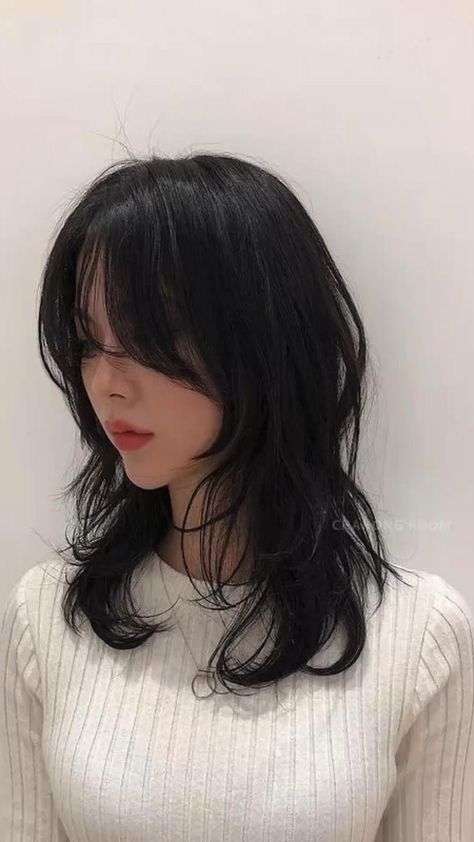 Long Black Hair Layers Curtain Bangs, Haircut For Naturally Straight Hair, Medium Hush Haircut, Wispy Bangs Shaggy Hair, Haircuts Bangs Medium, Round Face Korean Haircut, Wolf Haircut Shoulder Length, Different Haircuts For Medium Hair, Blue Hair With Black Tips