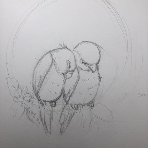 Parotts Bird Sketch, Couple Birds Drawing, Bird Couple Drawing, Birds In Love Drawing, Cute Drawings For Your Girlfriend, Parotts Bird Drawing, Love Drawing For Girlfriend, Animals In Love Drawing, Animal Couple Drawing