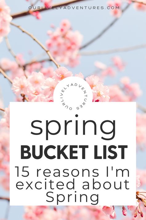 Here is my personal Spring bucket list.  These 15 things have had me looking forward to Spring for months.  Check it out for a little Springtime adventure planning! Montessori, Spring To Do, Spring Bucket List For Adults, Spring Bucket List, Bucket List Spring, Bucket List Family, Family Fun Night, Spring Mood, Spring Trip