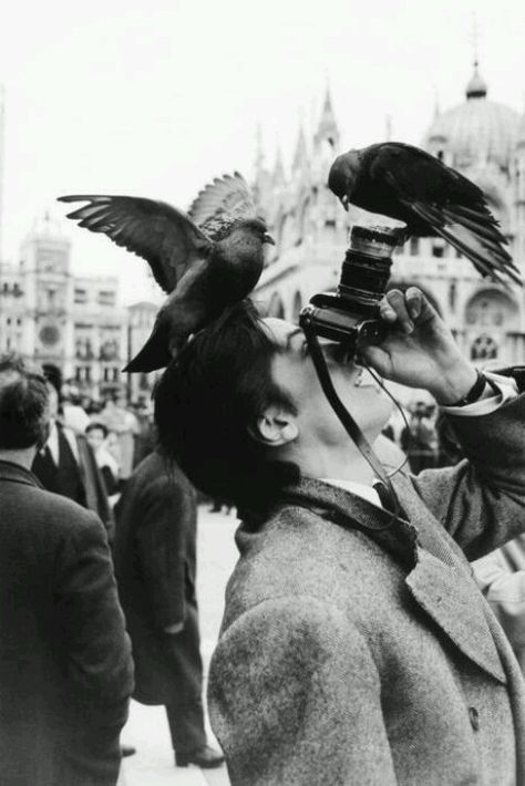 Robert Doisneau Photos, Jackson Browne, Martin Parr, Robert Doisneau, Vintage Versace, Foto Tips, Alain Delon, Vintage Dior, Lukisan Cat Air