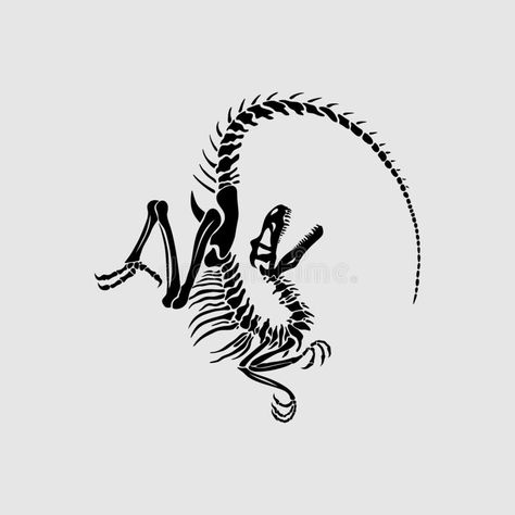 Dinosaur Skeleton Sketch, Stencil Black And White, Velociraptor Skeleton, Black And White Dinosaur, Whatsapp Wallpapers Hd, Dinosaur Tattoos, Tatoo Inspiration, Skeleton Drawings, Animal Skeletons