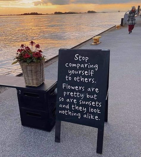 Stop comparing yourself to others. Flowers are pretty but so are sunsets and they look nothing alike. - Phrases Compare Quotes, Realist Quotes, Comparing Yourself, Stop Comparing, Vision Board Affirmations, Big Mood, Comparing Yourself To Others, Mental Health Matters, Self Love Quotes