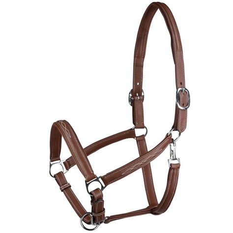 Horze Warren Soft Leather Halter_2 Leather Horse Halter, Western Spurs Straps, Horse Halter, Leather Halter, Spur Straps, English Saddle, Brown Horse, Horse Supplies, Horse Saddles