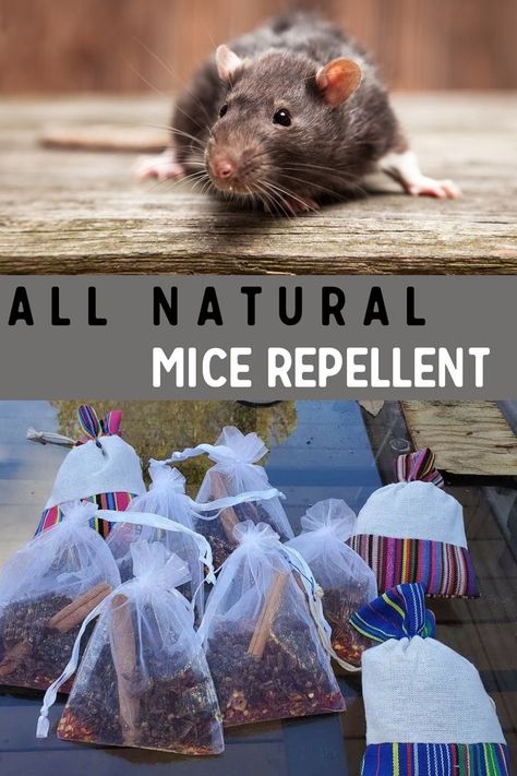 If you have unwanted guests (mice) in the home, here is a natural way to get rid of them. Not only is this all-natural remedy great for dettering mice away from your home, but this DIY repellent is also super simple to make! Click the pin for the tutorial. Nature, Sachets, Home Remedies For Mice, Homemade Flea Killer, Diy Flies Repellent, Natural Rat Repellent, Diy Mice Repellent, How To Repel Flies, Mouse Deterrent