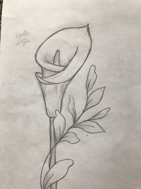 Cool Flowers To Draw, Flower Drawing In Color, Sketching Ideas Flowers, Freehand Drawing Ideas, Drawing Ideas Of Flowers, Flower Drawing With Butterfly, Landscape Ideas For Drawing, Tulips Art Drawing, Easy Art Designs To Draw