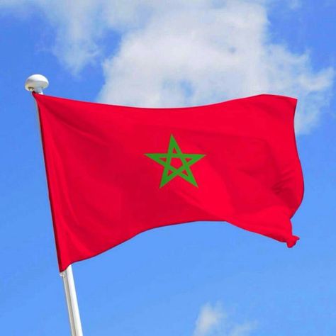 Moroccan flag Morocco, Casablanca, Croquis, Moroccan Flag, Morocco Flag, Snacks Recipes, Eu Flag, Country Flags, Wind Sock