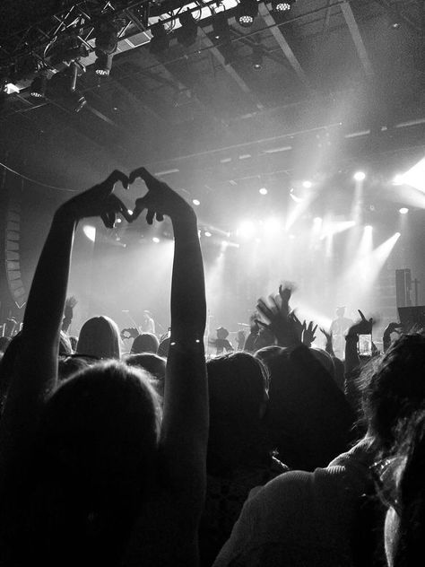 Louis Tomlinson One Direction, Heart Finger, Concert Crowd, One Direction Music, Hand Heart, Heart Hands, Cover Image, Concert Photography, Nike Tech