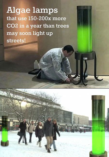 Plants Are Punk — Algae Lamps! Teknologi Futuristik, Alternative Energie, Teknologi Gadget, People Reading, Green Tech, Green Technology, Future Tech, Data Mining, Carbon Dioxide