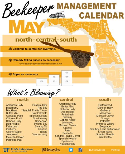 Florida Beekeeper’s Calendar – Beekeepers Of Volusia County, Florida Bee Calendar, Barnevelder Chicken, Red Bay, Butter Mints, Calendar May, Backyard Beekeeping, Bee Farm, Bee Keeper, Bees Knees