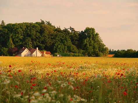 Asthetic Picture Wallpaper Laptop, Cottagecore Header, Cottagecore Landscape, House In A Field, Aesthetic Farm, Countryside Photos, Countryside Photography, Countryside Aesthetic, Landscape Aesthetic