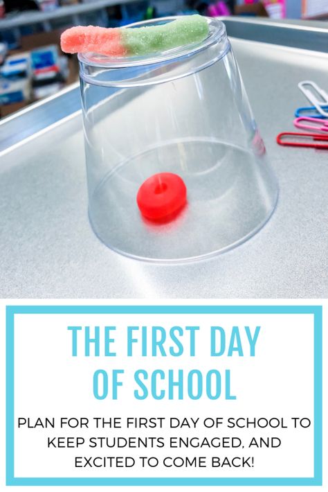 Growth Mindset For Students, Organisation, New Years Back To School Ideas, First Day 3rd Grade Activities, 1st Day Of School 1st Grade Activities, First Week Of School Science Activities, Third Grade First Day Of School, First Week Of School 2nd Grade Activities, First Day Grade 1