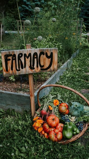 Brandi Rondinelli 🌾 Homesteading mama on Instagram: "Who’s with me?! 🌻🌿 🪶🪿 . . . . . . #simpleliving #simplelife #farmstead #gardener #thehappygardeninglife #plantsaremagic #botanicalpickmeup #backyardgardener #instagardeners #gardenerofinstagram #gardenersworld #gardenerslife #sheinthegarden #cottagecore #cottagegarden #farmtotable #homeschool #homeschoollife #lifeskills #lifeskillsforkids #homeschooling #homeschoolfamily" Homestead Garden Aesthetic, Smallholding Aesthetic, Commune Living Homesteads, Homesteading Photoshoot, Cottage Homestead Aesthetic, Cottagecore Parenting, Cottagecore Farm Aesthetic, Small Homestead Aesthetic, Homemaker Aesthetic Pictures