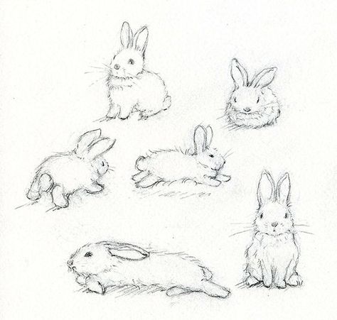 Rabbit sketches | How to draw a bunny: Rabbit Drawing, Bunny Tattoos, Rabbit Tattoos, Bunny Drawing, Desen Anime, Rabbit Art, Bunny Art, Arte Inspo, Dessin Adorable