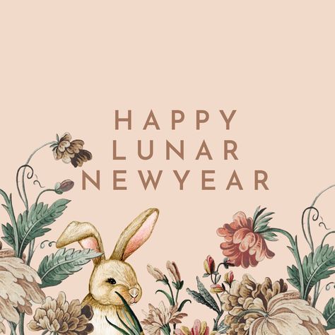 Happy Lunar New Year! May you follow the rabbit into new, exciting and creative adventures in 2022! Rabbits, 2023 Year, Happy Lunar New Year, White Rabbits, Year Of The Rabbit, Lunar New Year, The Rabbit, Lunar New, Happy New