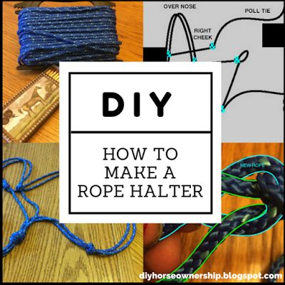 Do It Yourself Horse Ownership -- How to make a rope halter for horses Rope Halter Diy, 4h Horse Presentation Ideas, Paracord Halter, Halter For Horses, Horse Projects, Horse Tack Diy, Horse Ownership, Diy Horse, Horse Halter