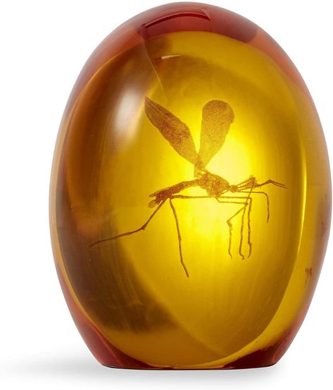 Jurassic Park Mosquito, Movie Replica, Amber Resin, Amber Fossils, Cool Gifts For Kids, Jurassic Park World, Replica Prop, Park Art, Jurassic Park