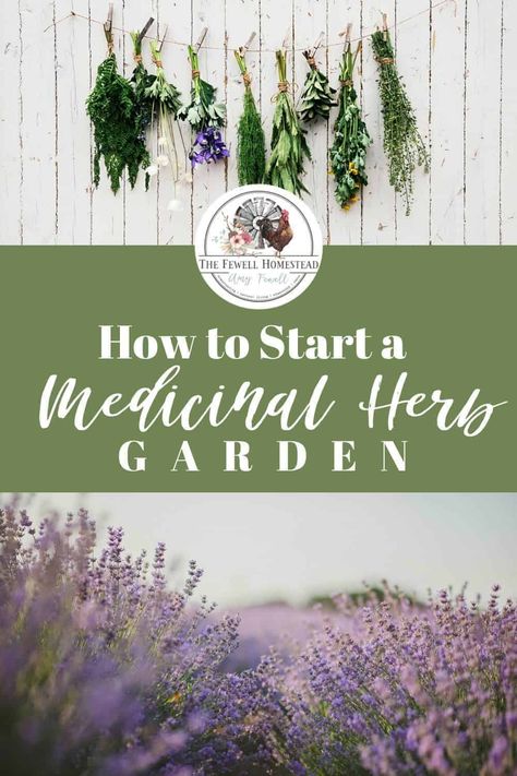 Medicinal Gardening, Medicinal Herb Garden, Fun Garden Art, Medicine Garden, Whimsical Garden Art, Small Herb Gardens, Outdoor Herb Garden, Medicinal Herbs Garden, Diy Herb Garden