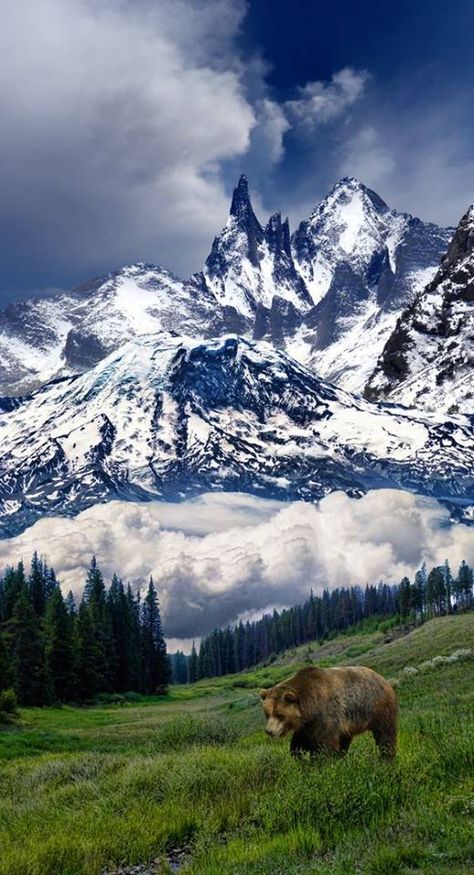 Regnul Animal, Montana Mountains, Matka Natura, Air Terjun, Mountain Photography, Alam Yang Indah, Alam Semula Jadi, Zambia, Belize