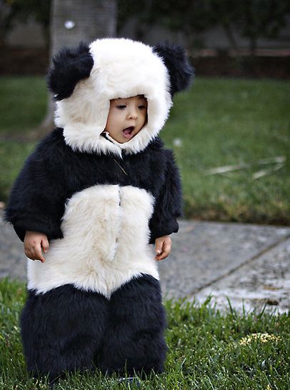 My poor children will be dressed like animals more than in normal clothing. Panda Mignon, Panda Costumes, Jungle Thema, Panda Lindo, Baby Kostüm, Panda Love, Asian Babies, Baby Panda, Kung Fu Panda