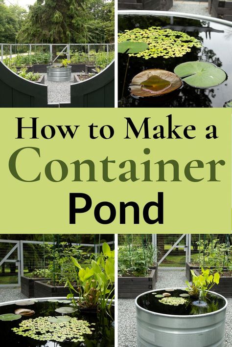 Small Yard Ponds Ideas, Water Container Garden, Stock Tank Pond Ideas Water Garden, How To Make A Pond, Diy Ponds Backyard Simple Cheap, Pot Pond, Container Pond, Indoor Gardening Supplies, Garden Landscaping Backyard