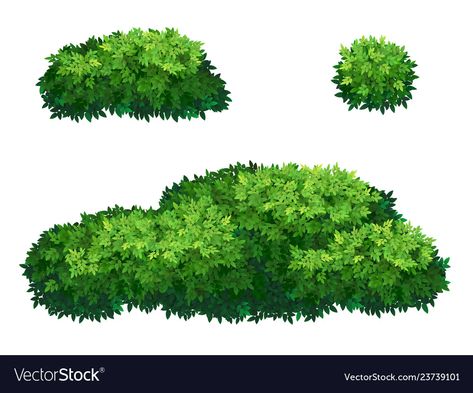 Green bushes and tree crown Royalty Free Vector Image Tree Crown, 숲 사진, Bubble Drawing, Green Fence, Game Textures, Tree Plan, Free Green Screen, Tree Textures, Drawing Examples