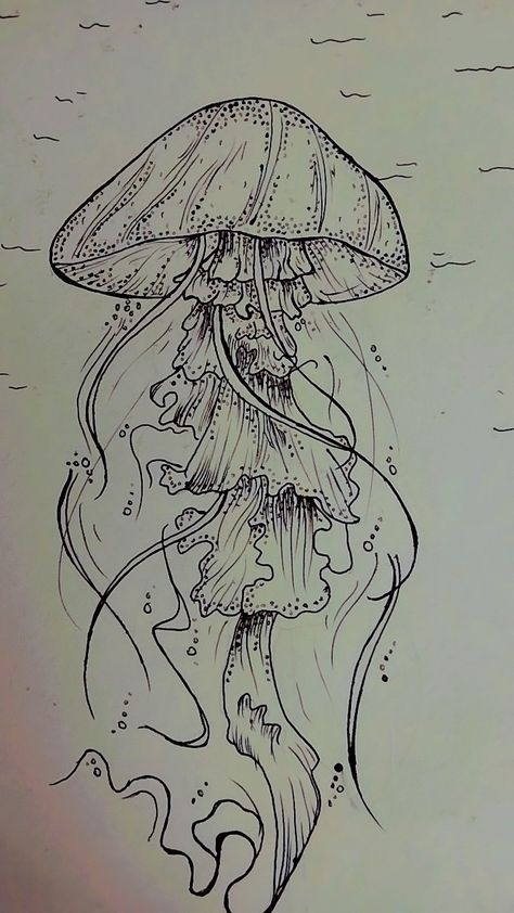 Pen art Pen Drawing Jellyfish, Jellyfish Drawing Black And White, Jelly Fish Pen Drawing, Jellyfish Anatomy Drawing, Sea Creatures Drawing Jellyfish, Pretty Jellyfish Drawing, Jellyfish Realistic Drawing, Turtle Underwater Drawing, Flower Jellyfish Drawing
