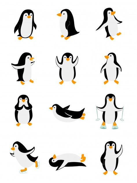 Pinguin Drawing, Pinguin Illustration, Zoo Clipart, Poses Funny, Polar Bear Logo, White Background Cartoon, Penguin Clipart, Penguin Images