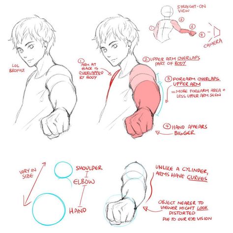 Art Tutorial Tips And Tricks on Instagram: “A guide to human perspective drawing . . . Did you find this helpful? . . Credit  Circususagi on tumblr . .  Follow @art.tips.tutorials for…” Manga Tutorial, Anatomy Tutorial, 인물 드로잉, Perspective Drawing, Poses References, Anatomy Drawing, Guided Drawing, Anatomy Reference, Drawing Practice