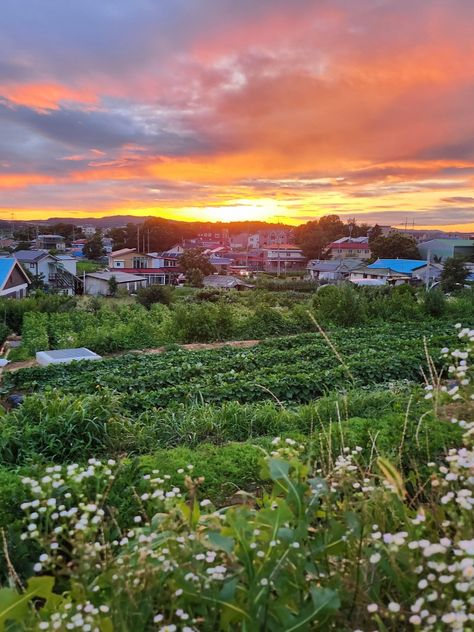 Nature, Countryside Of Japan, South Korean Countryside, Korean Countryside Aesthetic, Korea Countryside Aesthetic, Korean Countryside House, Korean Village Aesthetic, Japanese Countryside Aesthetic, Country Side Japan