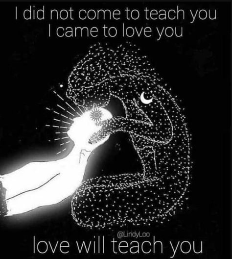 I did not come to teach you I came to love you love will teach you Manipura Chakra, Seni Arab, Inspirerende Ord, Les Chakras, Twin Flame Love, Spiritual Love, Awakening Quotes, Spirituality Energy, Spiritual Healing