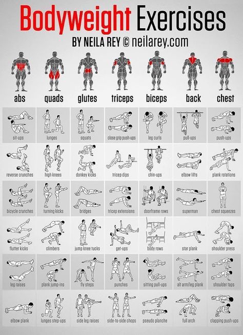 Body Weight Exercises fitness exercise health healthy living home exercise diy exercise routine exercising exercise routine exercise tutorials Fitness Outfits, Fitness Plan, Lichaamsgewicht Training, Neila Rey, Latihan Dada, Gym Antrenmanları, Fitness Routines, Reverse Crunches, Trening Fitness