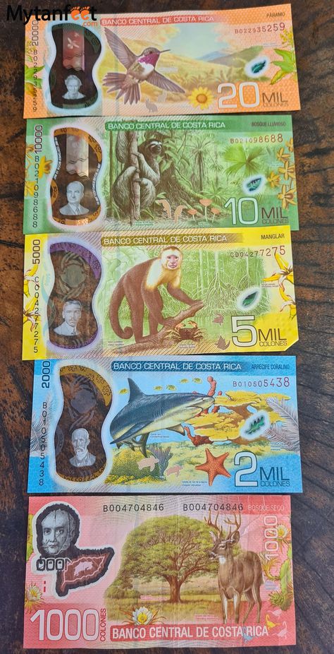 Handling money in Costa Rica: USD, Costa Rican currency, and more Costa Rican Culture, Costa Rican Aesthetic, Costa Rica Lifestyle, Costa Rican Flowers, Kitchen Mansion, Costa Rica Travel Pictures, Costa Rica Culture, Costs Rica, Coasta Rica