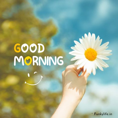 400+ Beautiful Good Morning Images & Wishes for Everyone Sweet Good Morning Images, Good Morning Sunday Images, Good Morning Smiley, Lovely Good Morning Images, Good Morning Love Messages, Cute Good Morning Images, Happy Morning Quotes, Good Morning Wallpaper, Good Morning Images Hd