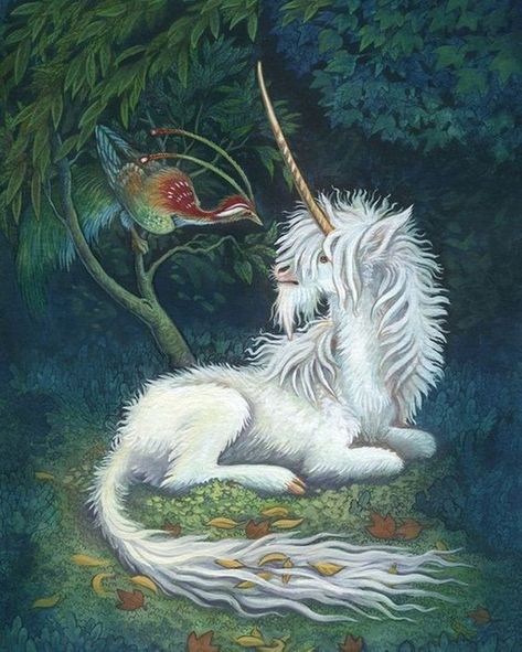 🦄 Woodland Unicorn, an art print by Emma Lazauski @emmalazauski⠀ ⠀ #fantasy #watercolor #nature #unicorn #woods #gouache #painting #woodland #artprint #artoftheday #dailyart #inrpnt⠀ ⠀ The INPRNT Studio is committed to providing gallery quality fine art prints. We use heavy 330 gsm paper, stunning HD archival ink, and sturdy packaging for the journey to your home. Our small team is run by artists dedicated to making beautiful prints for your art walls. Forest Unicorn, Unicorn Forest, Majestic Unicorn, Unicorn Books, Unicorn Pictures, Unicorns And Mermaids, The Last Unicorn, Fairy Dragon, Unicorn Art