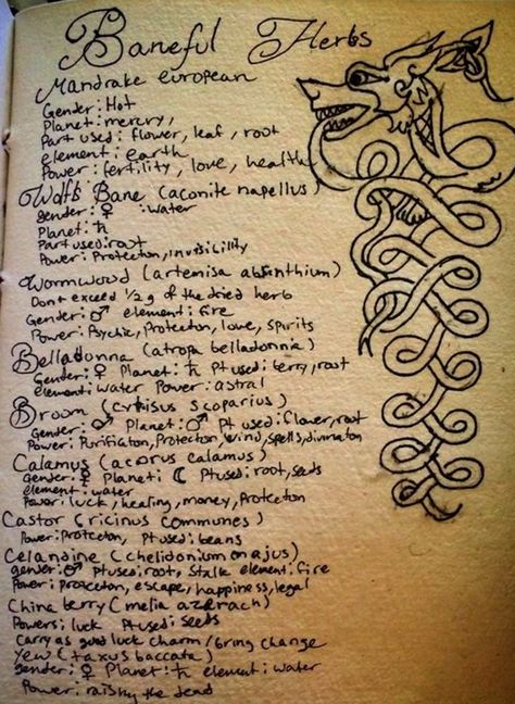 My Book Of Shadows, Psychic Eye, Magick Oil, Earth Powers, Traditional Witchcraft, Black Magick, Moon Journal, Magick Spells, Wiccan Spell Book