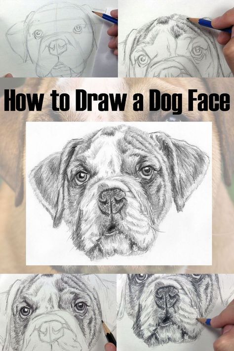 Colorful Dog Paintings, Dog Face Drawing, Dog Pencil Drawing, Dog Portrait Drawing, Dog Drawing Tutorial, Draw A Dog, Realistic Animal Drawings, Face Tutorial, Dog Portraits Painting