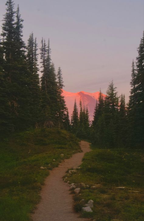 #pnw #hike Nature, Cozy Pnw Aesthetic, Hiking Vision Board Pictures, Oregon Mountains Aesthetic, Sunrise Hike Aesthetic, Pnw Summer Aesthetic, Kaylee Core Aesthetic, Pnw Core, Pnw Scenery