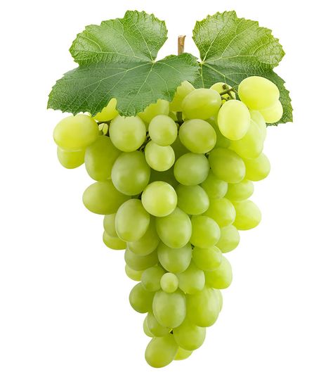 Essen, Fruits Name In English, Grapes Benefits, Oil Pulling Benefits, Fruit Names, Fruits Images, Fruit Photography, Fruit Painting, Green Grapes
