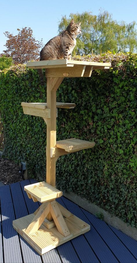 Cat Tree House Diy Ideas, Diy Outdoor Cat Tree, Cat Runs Outdoor, Outdoor Cat Tower, Diy Cat Trees, Cat Tree Diy, Outdoor Cat Run, Outdoor Cat Tree, Outside Cat House