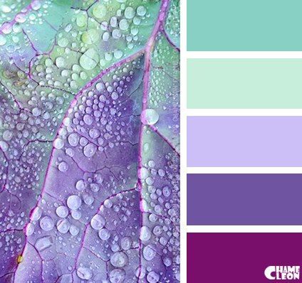 A pleasant color scheme that you could use for your next acrylic pour! Violet Palette, Dilly Dilly, Color Schemes Colour Palettes, Colour Combos, Lavender Green, Color Palate, Color Palette Design, Colour Pallette, Colour Pallete