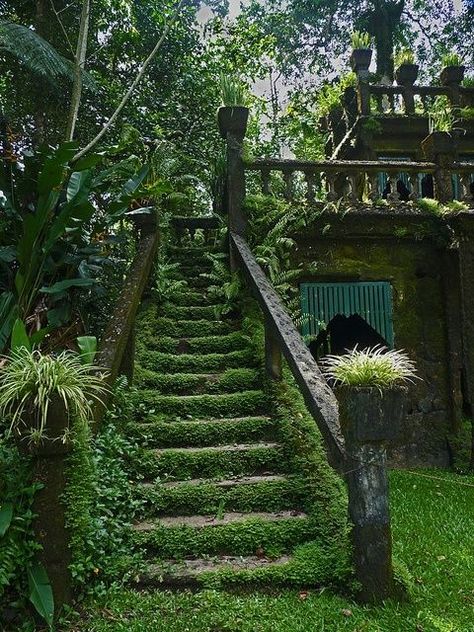 Gorgeous!! So cool! Little ivy overgrown staircase that's all hidden. #SecretGarden Secret Gardens, Environmental Storytelling, Antique Diy, Moss Growing, Garden Stairs, The Secret Garden, Stairway To Heaven, Old Stone, Absinthe