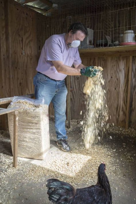 7 Steps to Winterize the Chicken Coop Chicken Coop Winter, Cute Chicken Coops, Small Chicken Coops, Chicken Shed, Goat Barn, Diy Chicken Coop Plans, Chicken Coop Run, Fancy Chickens, Backyard Chicken Farming