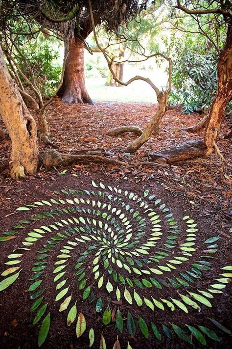 Ephemeral land art James Brunt // #Mandalas Mandala Stones #landart Zoology, Nature Mandala, Ephemeral Art, Steam Projects, Art Pierre, Earth Art, Foto Tips, Mandala Stones, Art Series