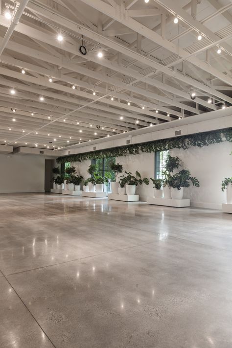 Glass Event Hall, Studio Event Space, Large Event Space, Vintage Event Space, Event Venue Lighting, Event Space Ceiling Design, Event Spaces Ideas, Event Venue Design Layout, Neutral Event Decor