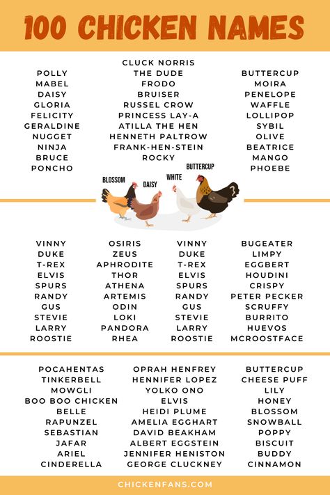 A poster with 100 chicken names Old Lady Chicken Names, Chicken Name Tags, Cute Names For Chickens, Chicken Name Ideas, Chicken Names Hens Funny, Calico Princess Chicken, Rooster Names Funny, Chicken Names Funny, Chicken Coop Names Clever