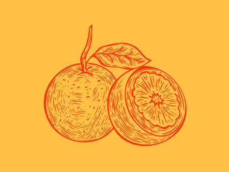 Logos, Orange Peel Illustration, Orange Illustration Graphics, Orange Fruit Illustration, Oranges Illustration, Orange Line Art, Orange Tattoo, Orange Illustration, Fruit Names